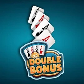 Double Double Bonus slot visual from Red Rake Gaming available on spino-loco.eu
