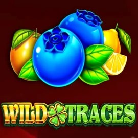 Try Wild Traces slot by Amusnet Interactive on spino-loco.eu – logo image